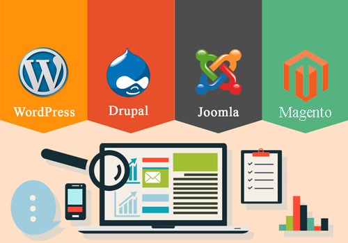 CMS development